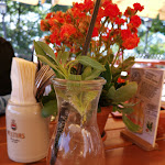 Photo n°2 de l'avis de Fynn.e fait le 20/09/2019 à 12:28 sur le  Bückingsgarten à Marburg