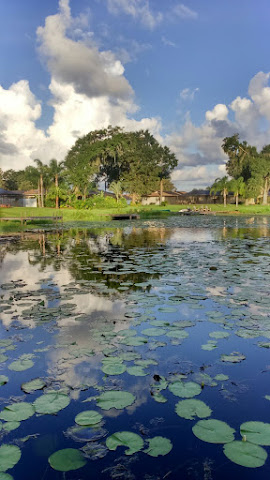 Land O' Lakes by null