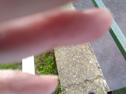 Fabric Store «Alewives Fabrics Gifts Gallery», reviews and photos, 10 Main St, Nobleboro, ME 04555, USA