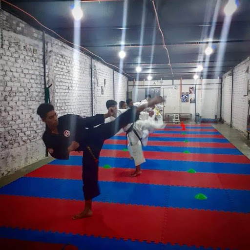 Escuela de artes marciales Ica