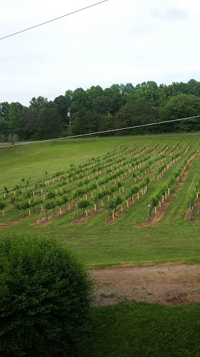 Winery «Hartwood Winery Inc», reviews and photos, 345 Hartwood Rd, Fredericksburg, VA 22406, USA