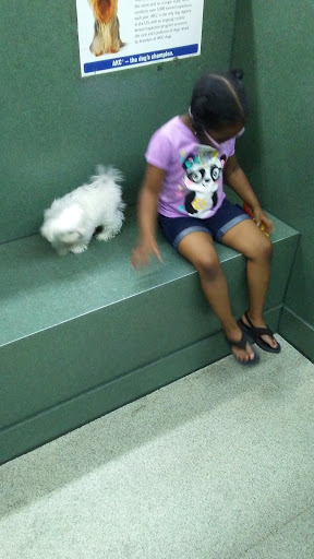 Pet Store «Petland Montgomery», reviews and photos, 7127 Eastchase Pkwy, Montgomery, AL 36117, USA