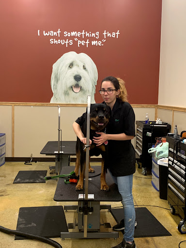 Pet Supply Store «Pet Supplies Plus», reviews and photos, 375 Paterson Ave #105, Wallington, NJ 07057, USA