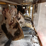 Photo n°1 de l'avis de Boudewijn. fait le 01/03/2018 à 14:01 sur le  O Viriato à Cascais