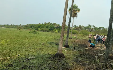 Parque Nacional del Gran Chaco Kaa-Iya image