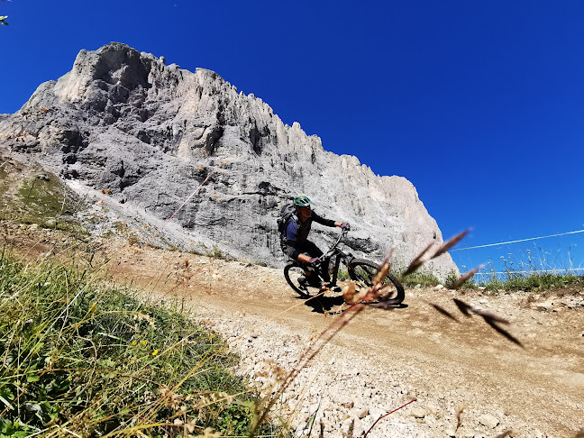 Rezensionen über bike treff aesch -Veloplace in Reinach - Fahrradgeschäft