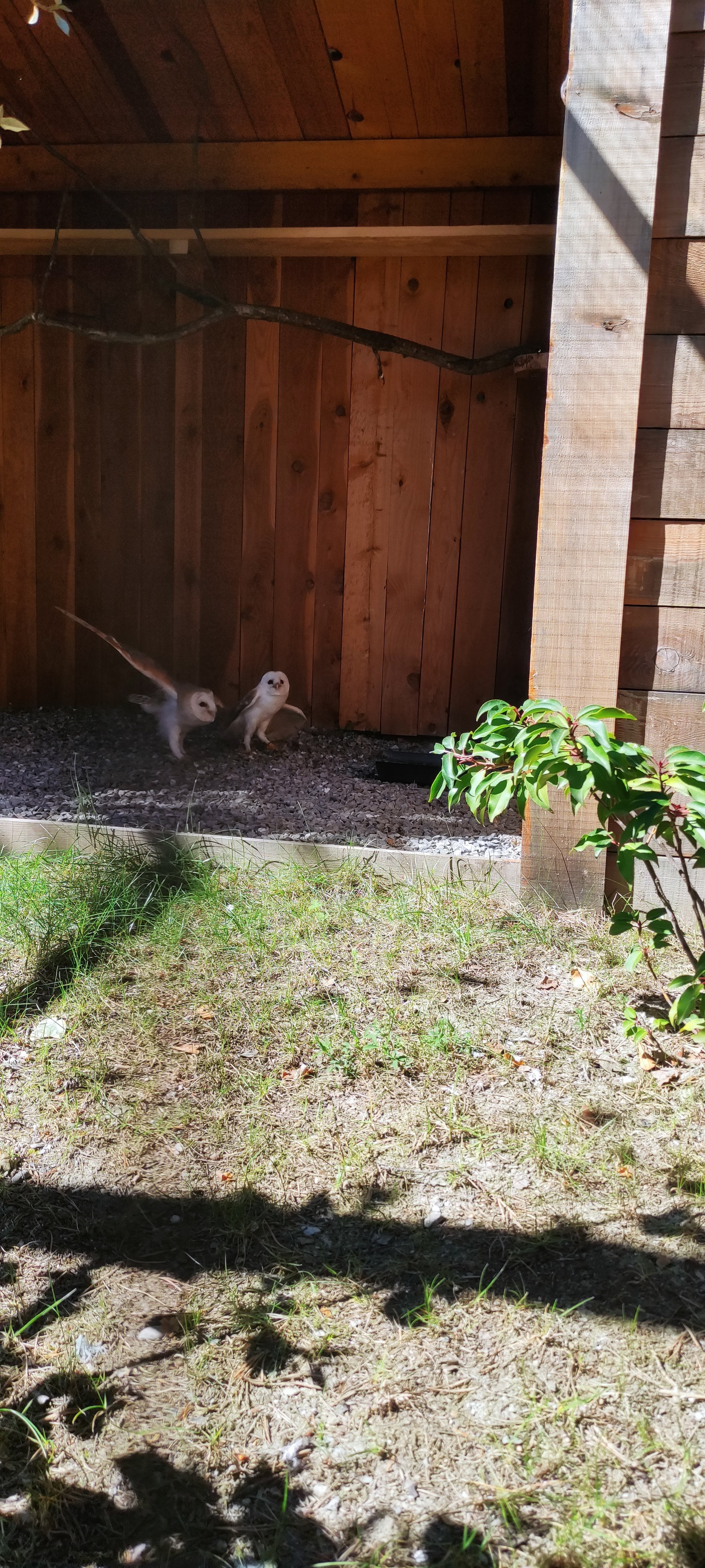 Photo n° 8 de l'avis de Alexia.a fait le 20/04/2023 à 07:36