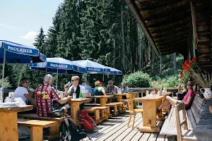 Hündeleskopfhütte - die erste vegetarische Hütte in den Alpen image