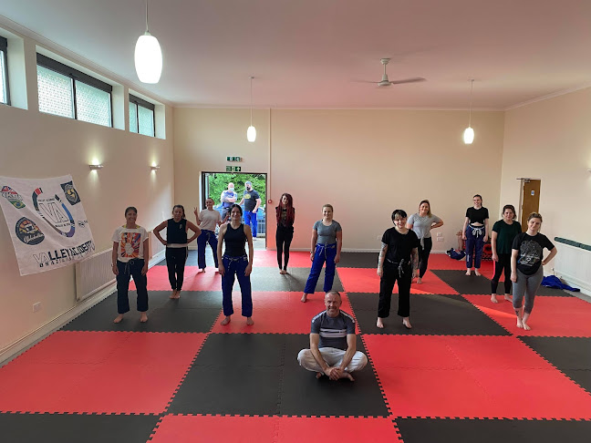 Valley Academy Brazilian Jiu Jitsu - Swansea
