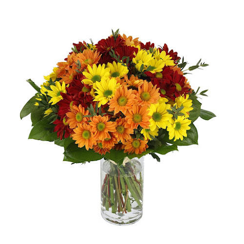 Comentários e avaliações sobre o Homeflora - Encomendar Flores Online | Entrega de Flores ao Domicílio