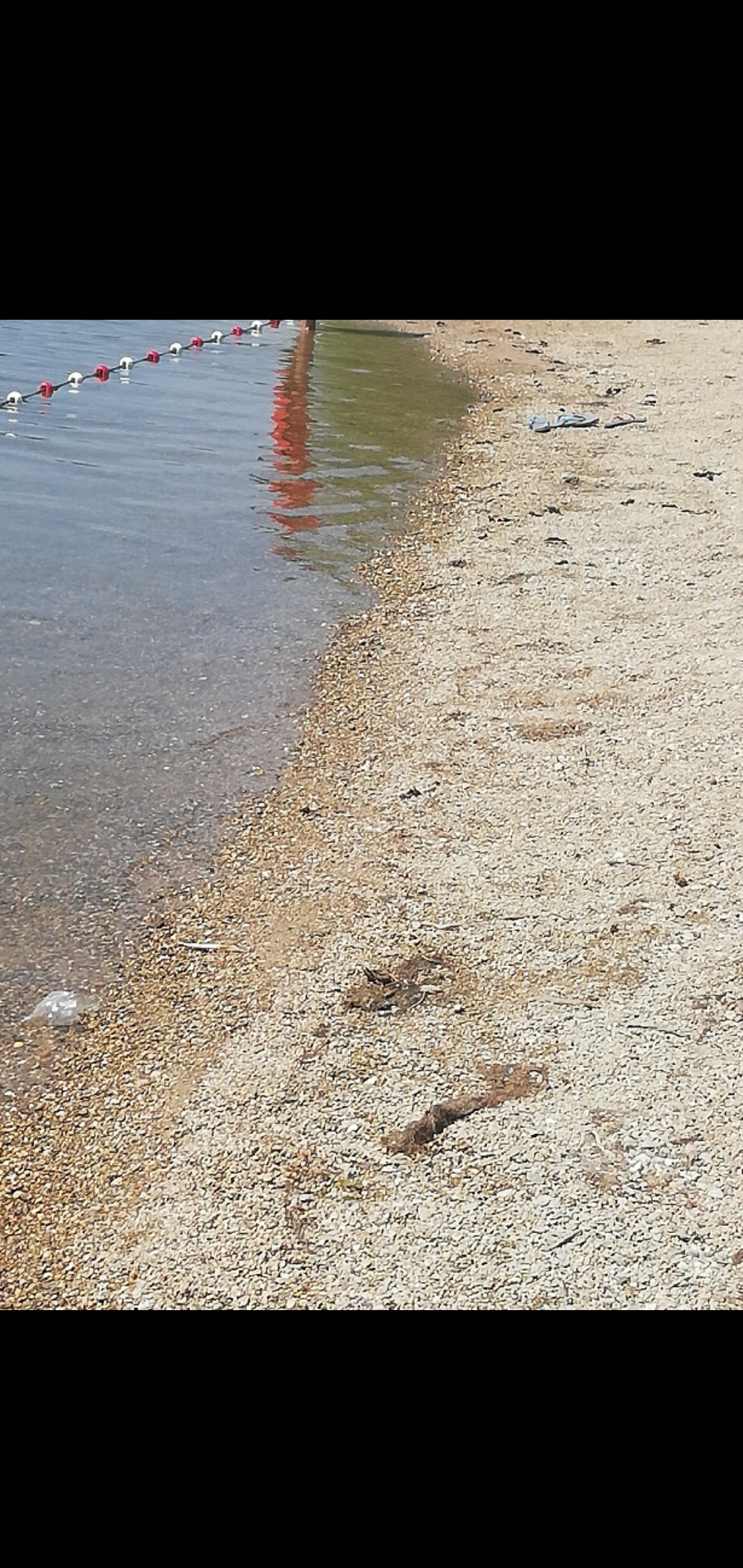 Photo n° 1 de l'avis de Audrey.h fait le 16/07/2019 à 20:33