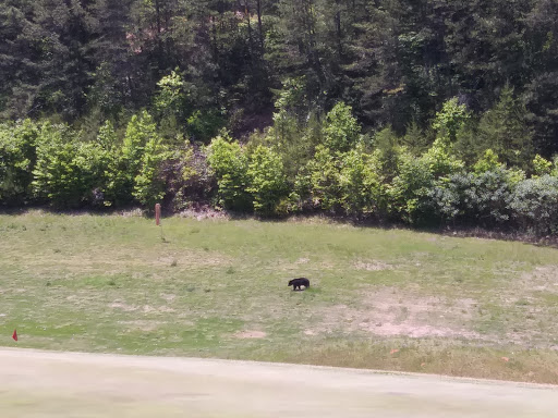 Golf Club «Innsbruck Resort & Golf Club», reviews and photos, 664 Bahn Innsbruck, Helen, GA 30545, USA