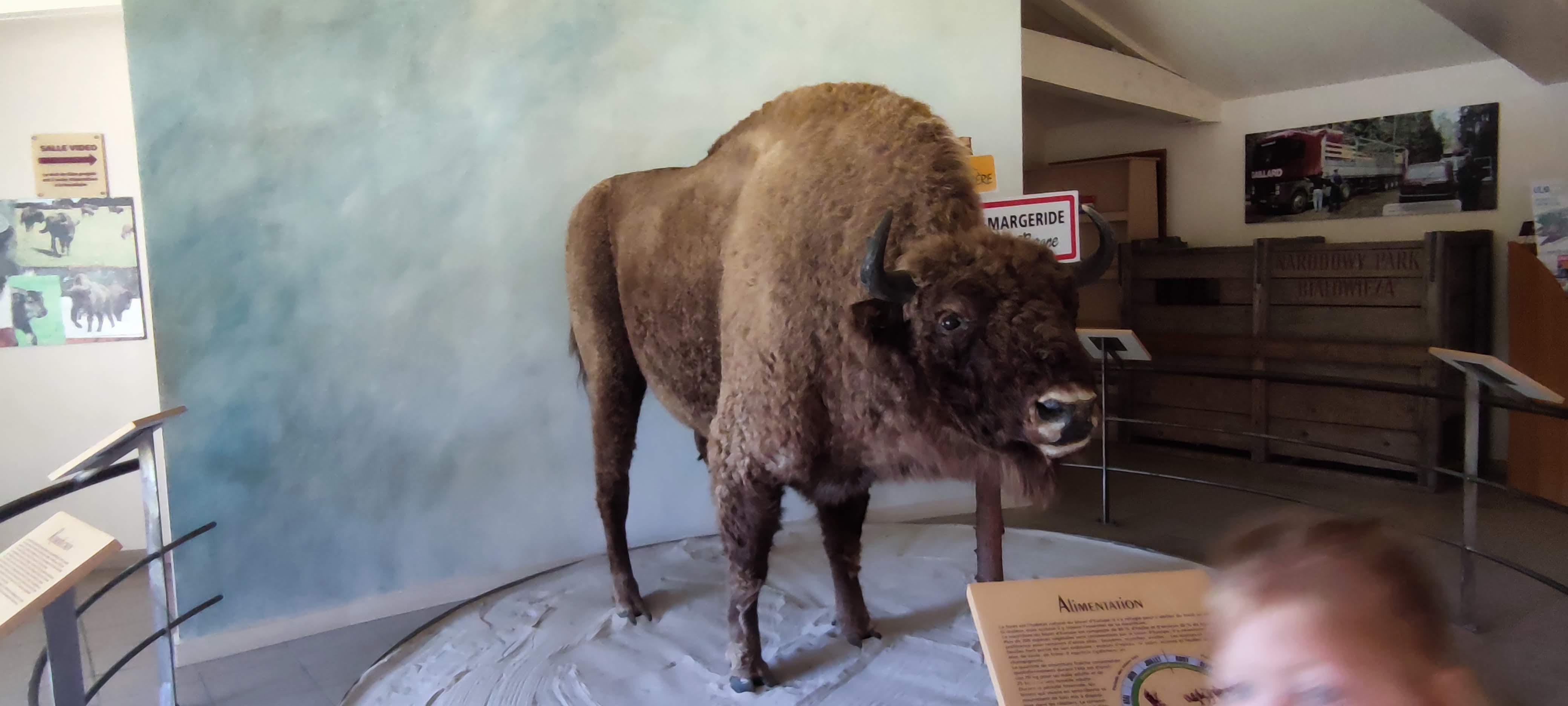 Photo n° 1 de l'avis de Natacha.a fait le 24/08/2021 à 13:17