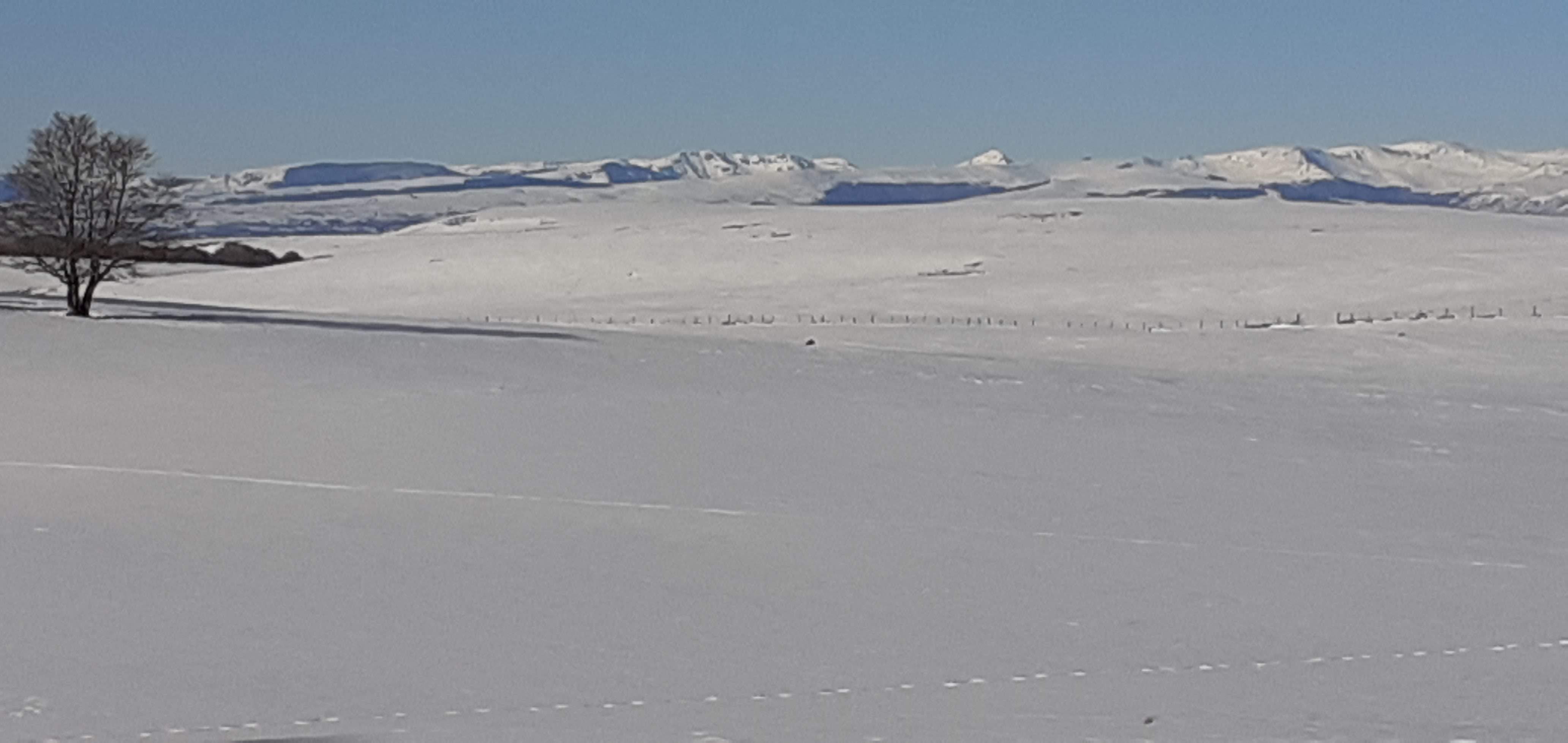 Photo n° 2 de l'avis de Fausto.n fait le 16/12/2021 à 16:28