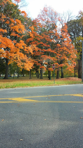 Park «Branch Brook Park», reviews and photos, Lake St & Park Avenue, Newark, NJ 07104, USA