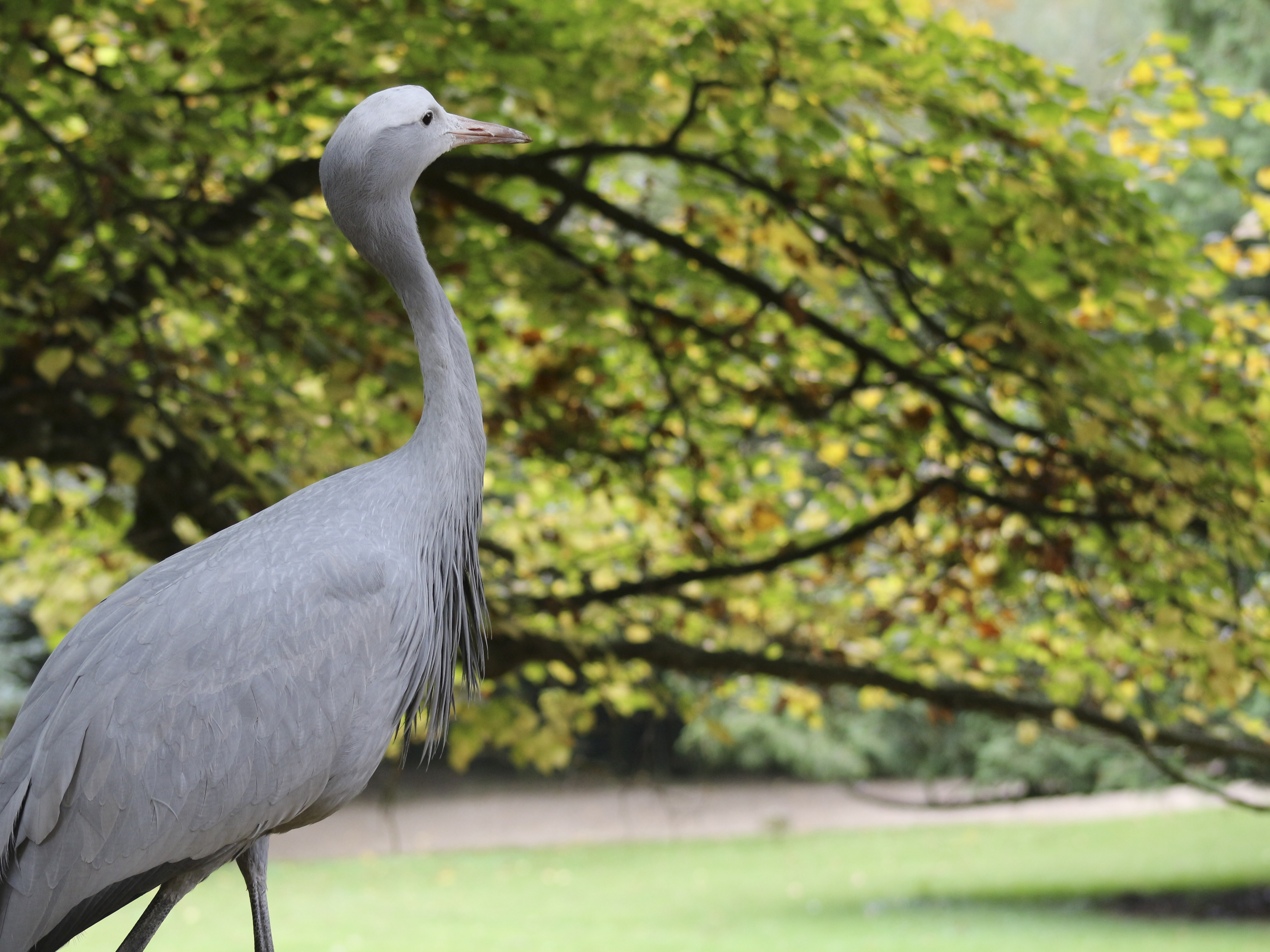 Photo n° 23 de l'avis de Laurent. fait le 05/08/2022 à 12:06