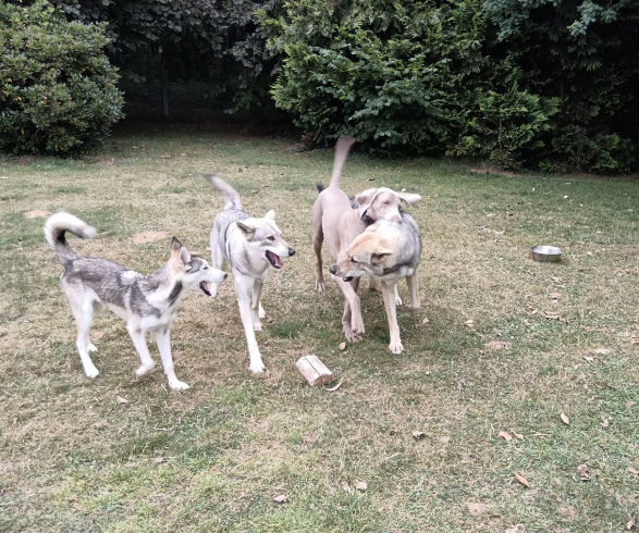 Photo n° 6 de l'avis de audrey.e fait le 16/07/2023 à 17:12