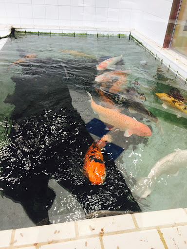 Pet Supply Store «PetKraze», reviews and photos, 100 Independent Way, Brewster, NY 10509, USA