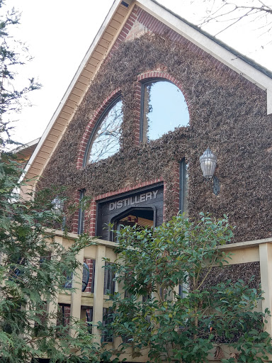 Winery «Kiepersol Estates Winery», reviews and photos, 4120 FM 344 E, Tyler, TX 75703, USA