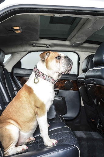 Auto Broker «Elliott Bay Auto Brokers», reviews and photos, 13001 Aurora Ave N, Seattle, WA 98133, USA