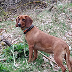 Photo n°1 de l'avis de Edgar.� fait le 18/05/2024 à 15:40 sur le  Schnalshuberhof à Algund