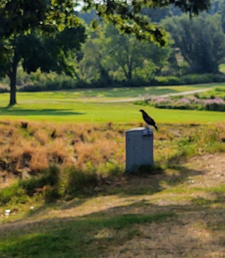 Public Golf Course «Sandy Burr Country Club», reviews and photos, 103 Cochituate Rd, Wayland, MA 01778, USA