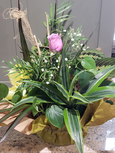 Florist «Carrolls Florist of Beverly», reviews and photos, 385 Cabot St, Beverly, MA 01915, USA