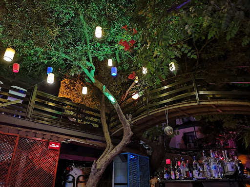 Club Budha Bar Marmaris