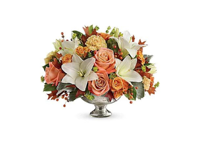 Reed's Florists Limited