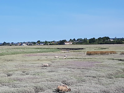 Parking & Aire de camping car à Port-Bail-sur-Mer