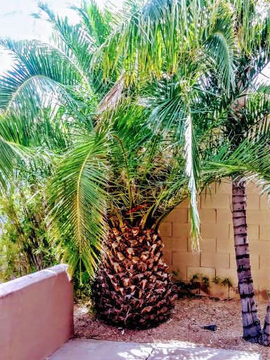 Breakfast Restaurant «The Breakfast Joynt», reviews and photos, 6245 E Bell Rd, Scottsdale, AZ 85254, USA