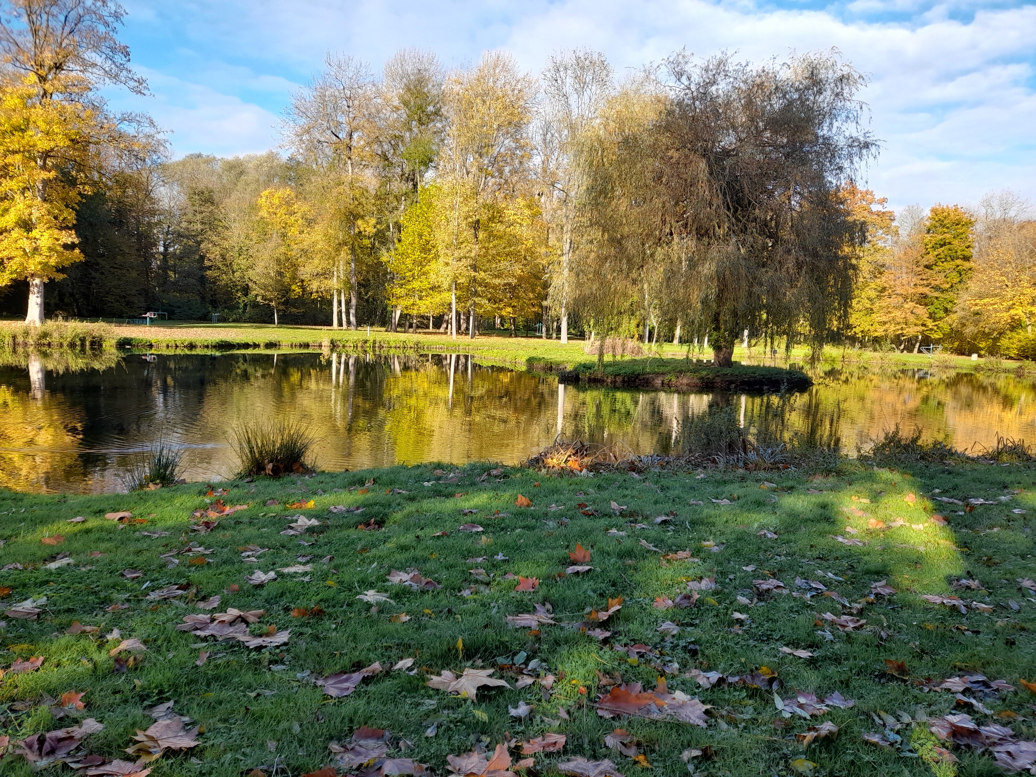 Photo n° 2 de l'avis de Brousse.r fait le 18/11/2021 à 12:05