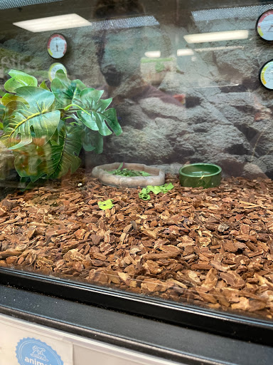 Petco image
