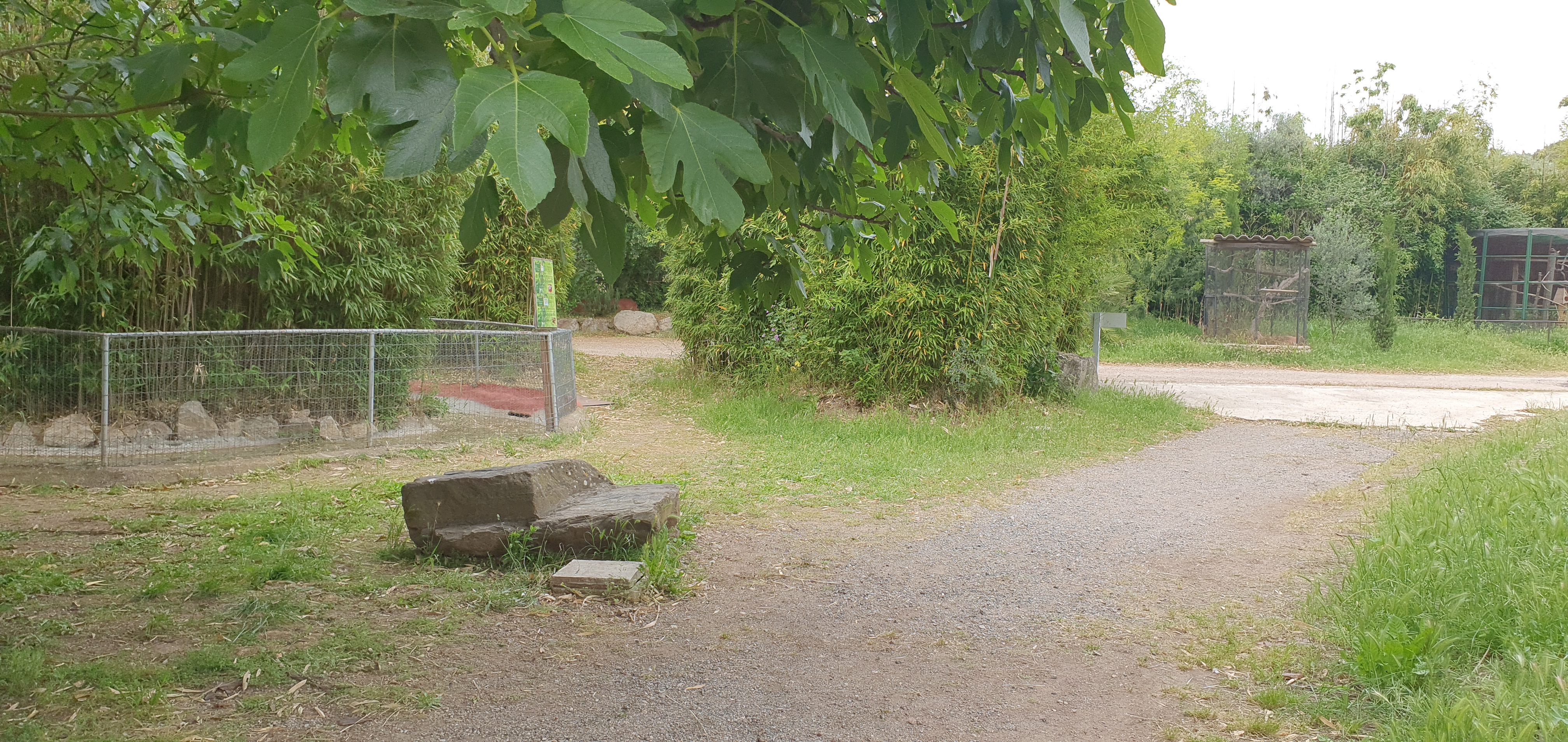 Photo n° 11 de l'avis de Fadella.R fait le 30/05/2021 à 19:03