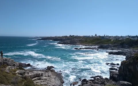 Hermanus Cliff Path Biodiversity Walk image