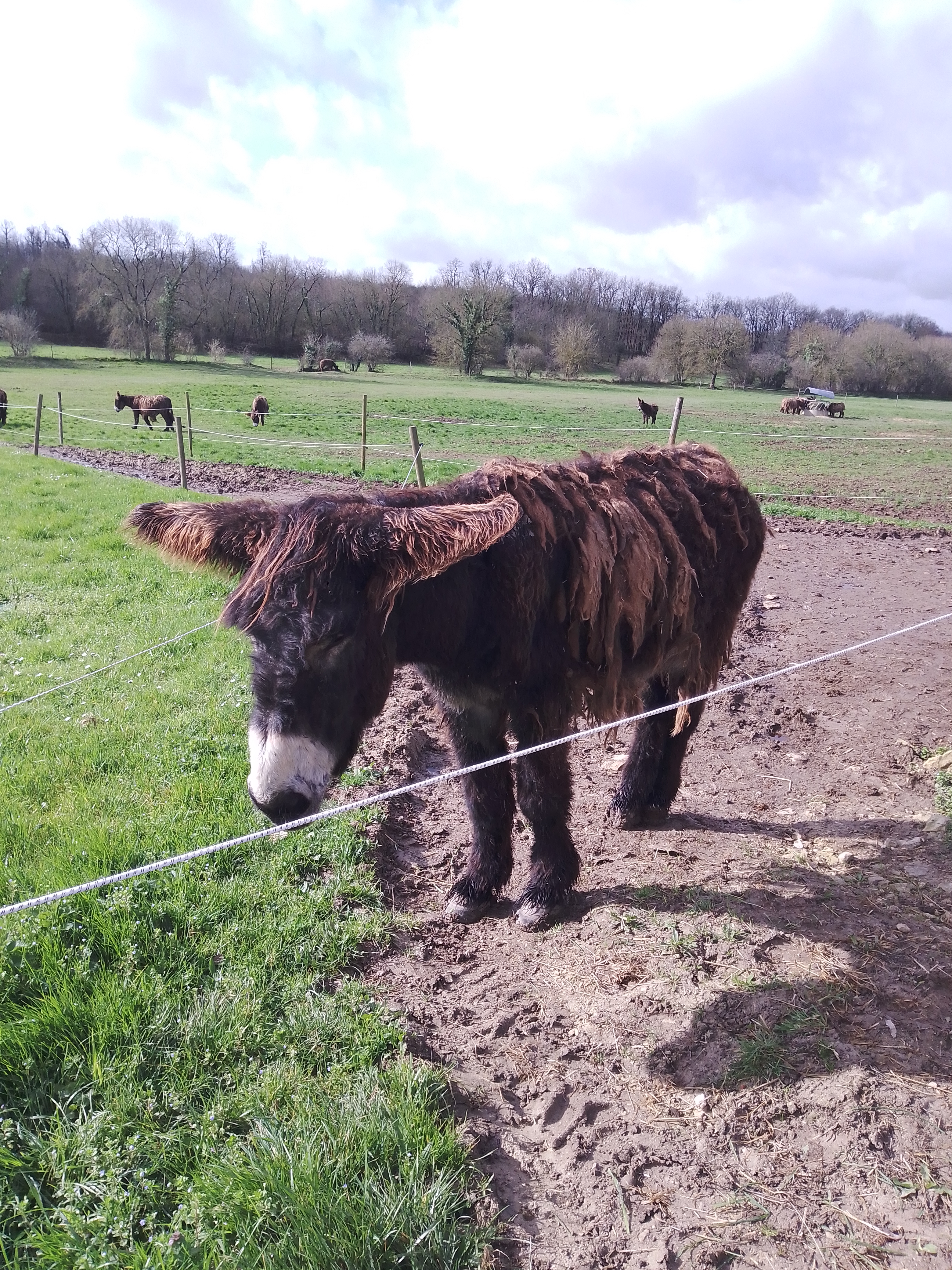 Photo n° 2 de l'avis de marina.e fait le 25/02/2020 à 12:07