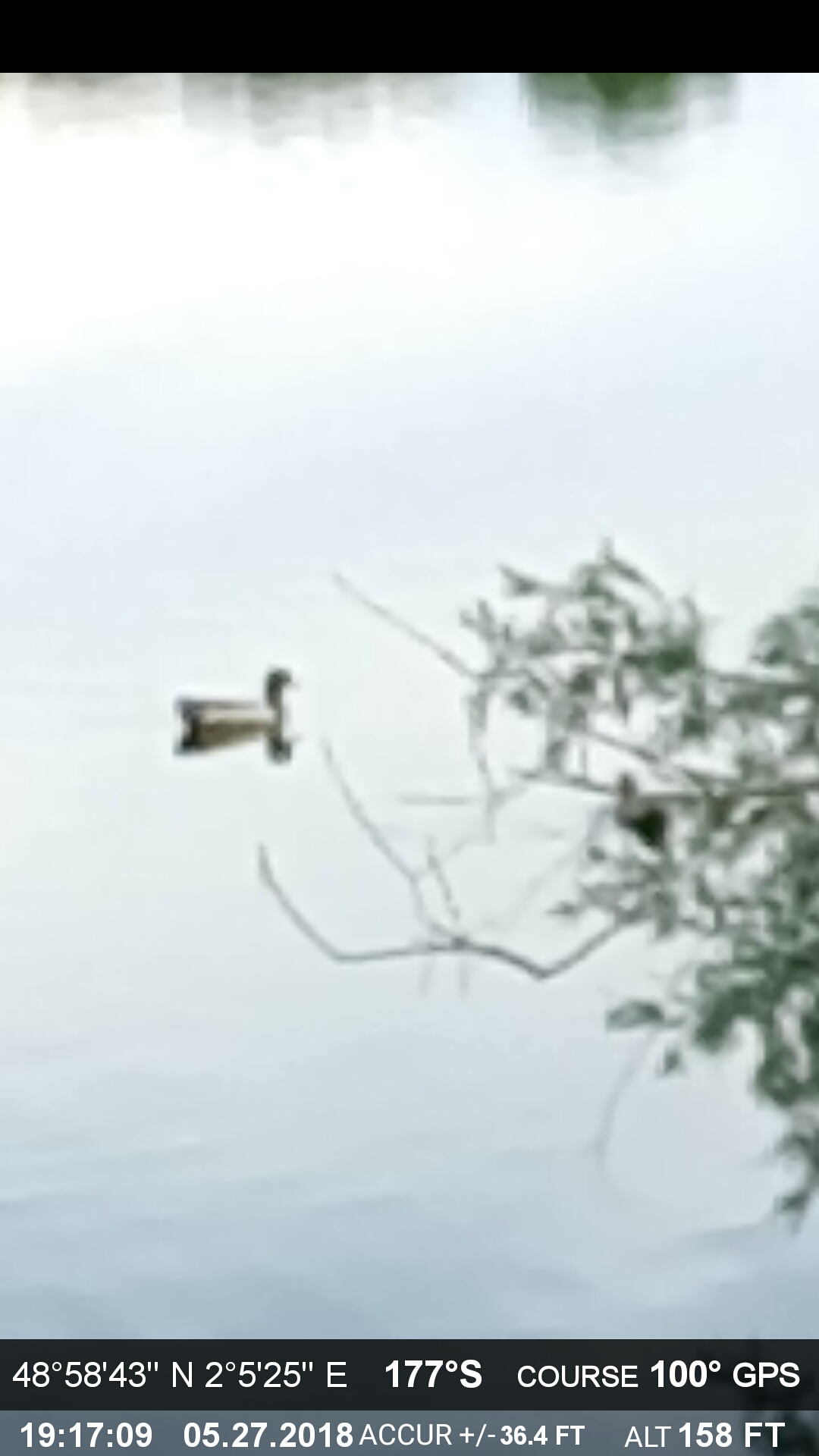Photo n° 5 de l'avis de Panos.o fait le 29/05/2018 à 14:41