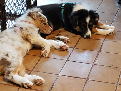 700 N Franklin St, Fort Bragg, CA 95437, USA