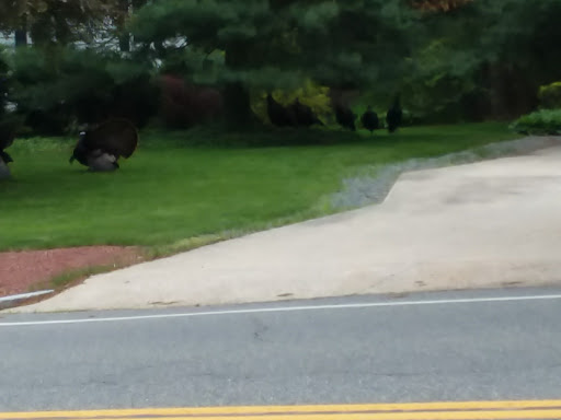 Park «Francis William Bird Park», reviews and photos, 251 Washington St, East Walpole, MA 02032, USA