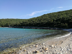 Photo de Vinjole beach zone sauvage
