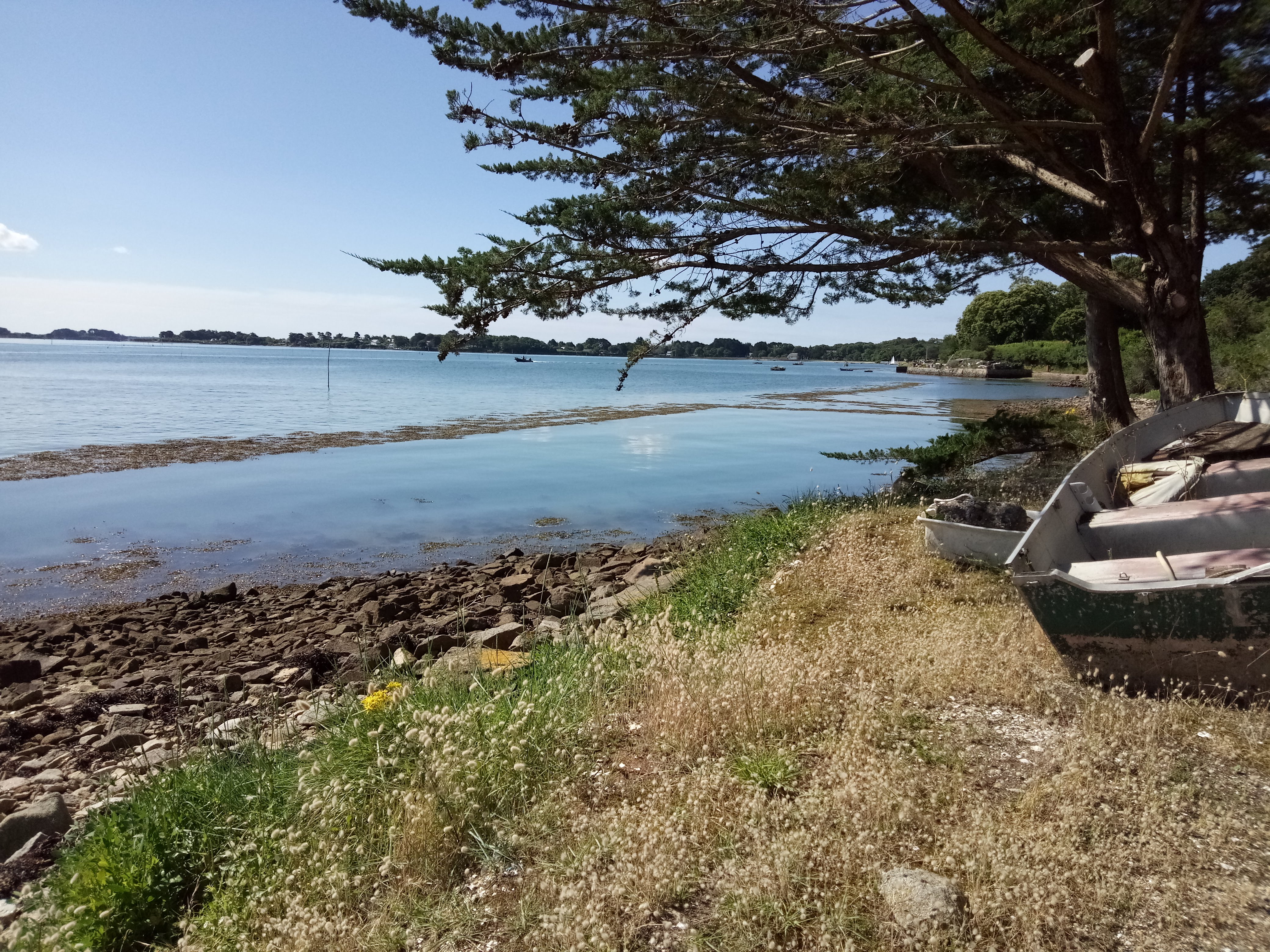 Photo n° 37 de l'avis de Jean.a fait le 21/06/2019 à 18:36