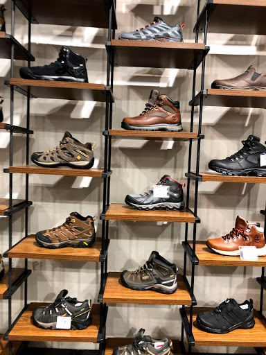 Outdoor Sports Store «Field & Stream», reviews and photos, 800 Brevard Rd #901, Asheville, NC 28806, USA