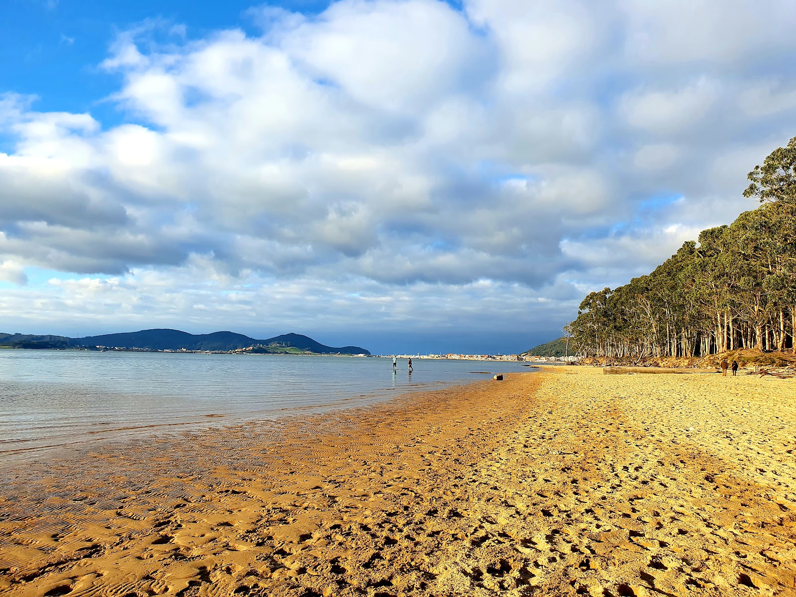 Playa del Regaton photo #7