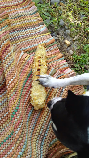 Park «Arnold Park», reviews and photos, 4155 SW 182nd Ave, Aloha, OR 97007, USA