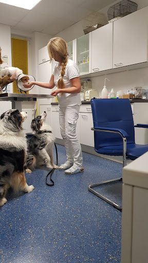 Dr.med.vet. Bärbel Munzlinger Tierärztin unter Bischofsheim, 