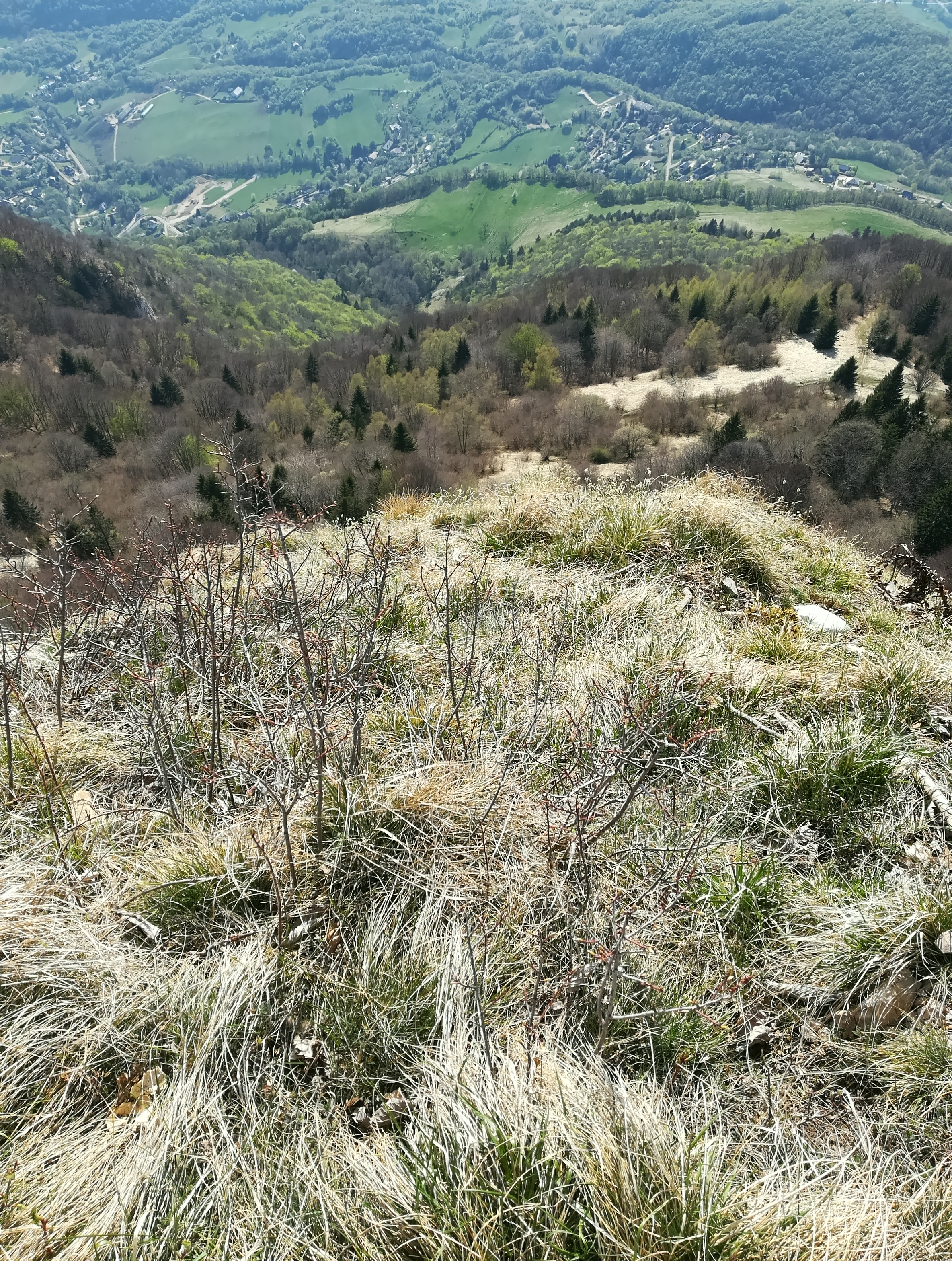 Photo n° 3 de l'avis de C.y fait le 07/05/2018 à 13:42