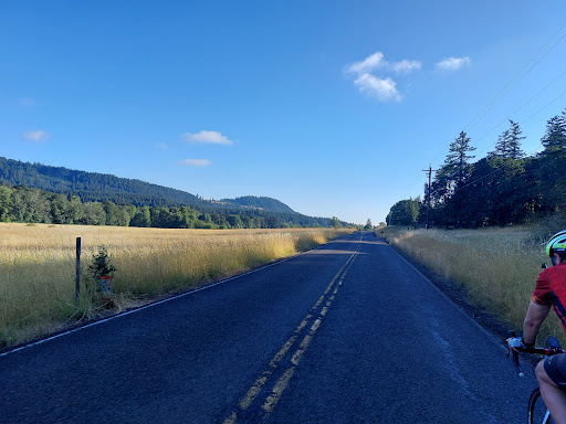 Mortgage Broker «Stonebridge Mortgage Group Inc.», reviews and photos