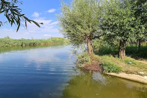 Seret river image
