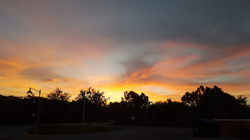 Grocery Store «Winn-Dixie», reviews and photos, 10026 Coconut Rd, Bonita Springs, FL 34135, USA