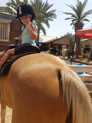 Horse riding schools Jerusalem